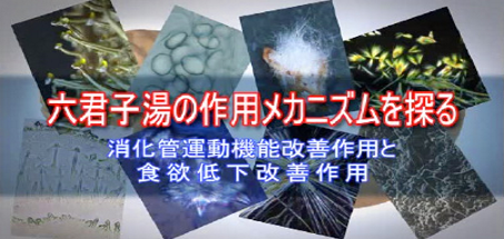043薬理
