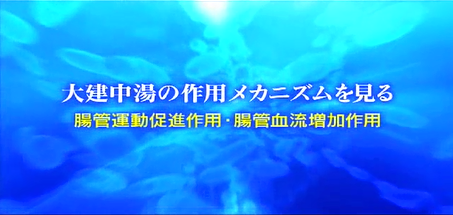 大建中湯薬理動画薬理画像