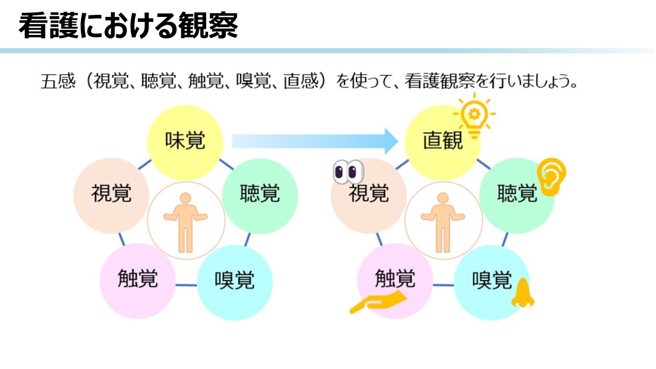 漢方・中医学臨床マニュアル : 症状から診断・処方へ 漢方・中医学臨床マニュアル : 症状から診断・処方へ 漢方・中