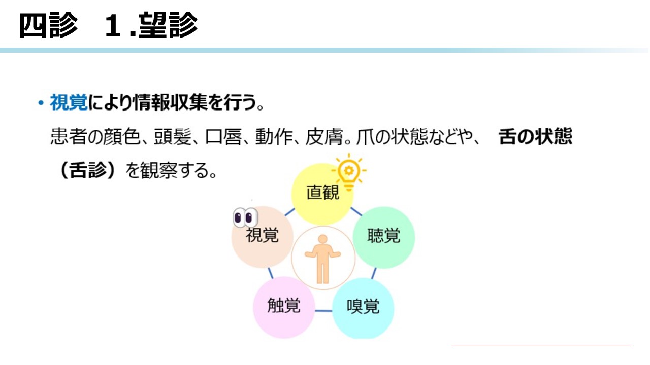 漢方・中医学臨床マニュアル : 症状から診断・処方へ 山本巌の漢方 症例&144処方臨床解説―適応病態・適応疾患 | 山方