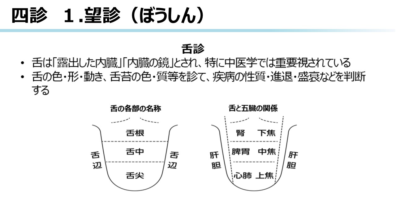 漢方医学の診断法 | ツムラ医療関係者向けサイト | 株式会社ツムラ