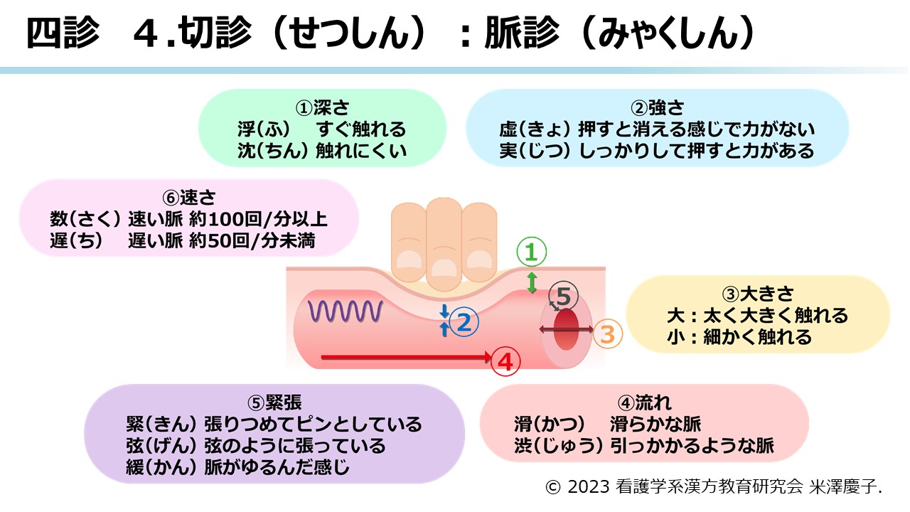 漢方医学の診断法 | ツムラ医療関係者向けサイト | 株式会社ツムラ