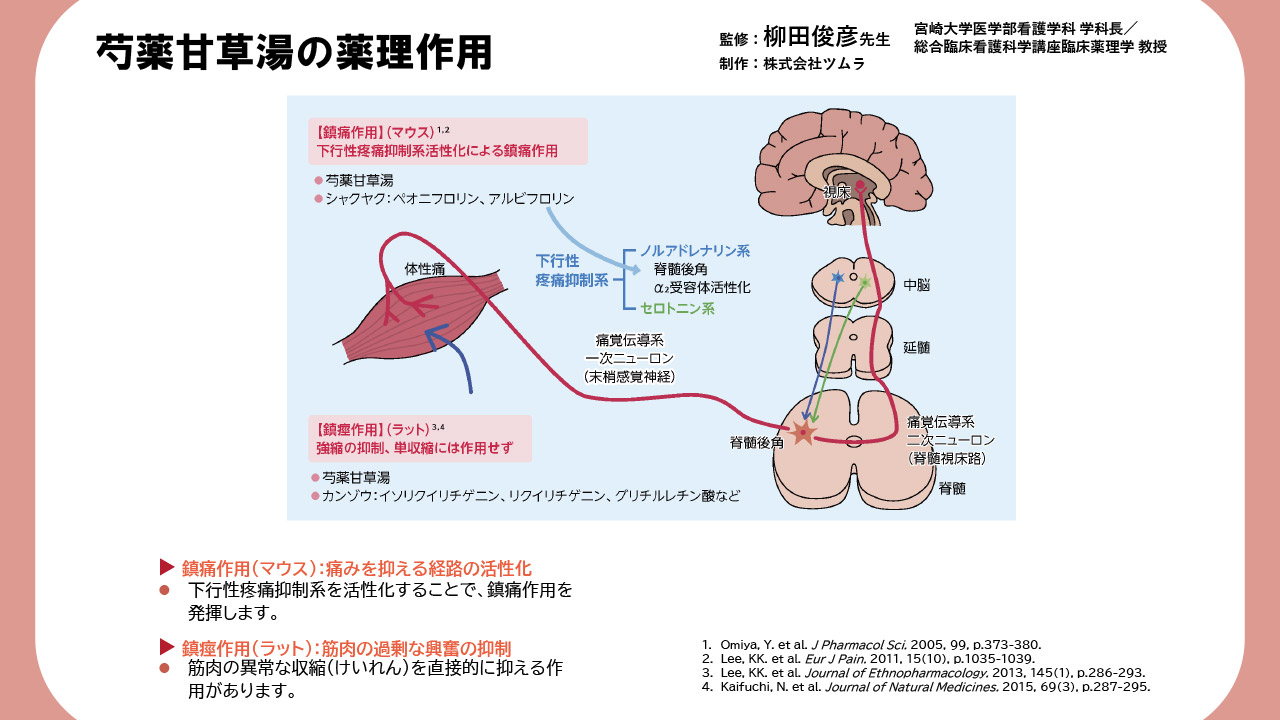 看護師向け漢方教材 | ツムラ医療関係者向けサイト | 株式会社ツムラ