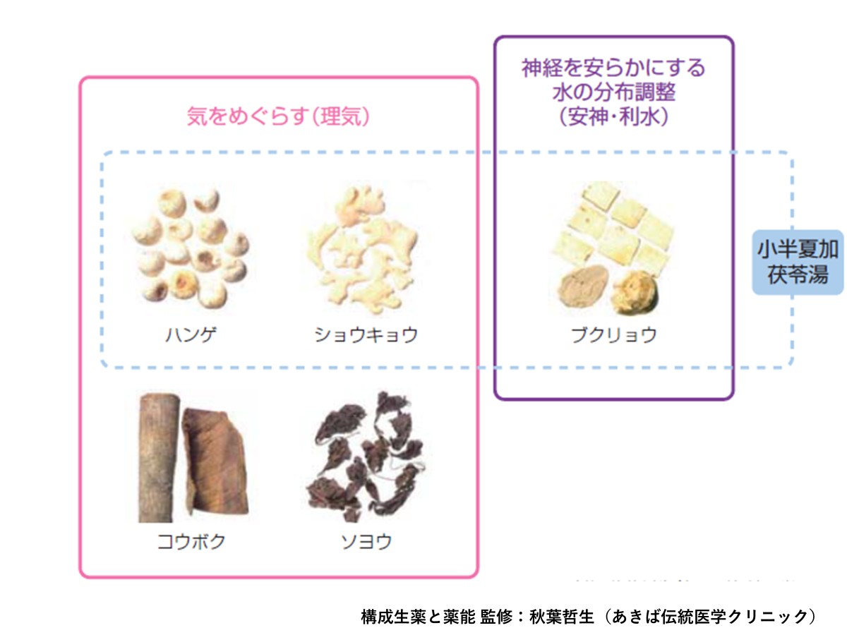 半夏厚朴湯の処方解説 | ツムラ医療関係者向けサイト | 株式会社ツムラ