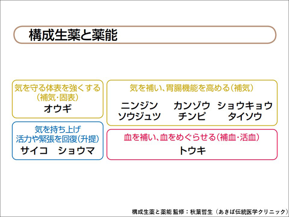 漢方処方の構成と適用 補中益気湯の漢方医学的処方解説 | ツムラ医療関係者向けサイト | 株式