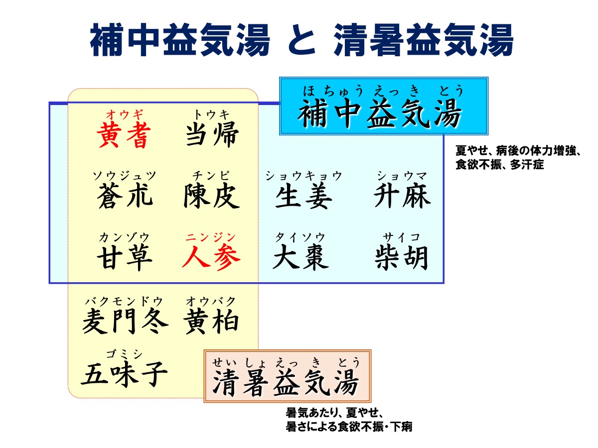 清 暑 益 気 湯