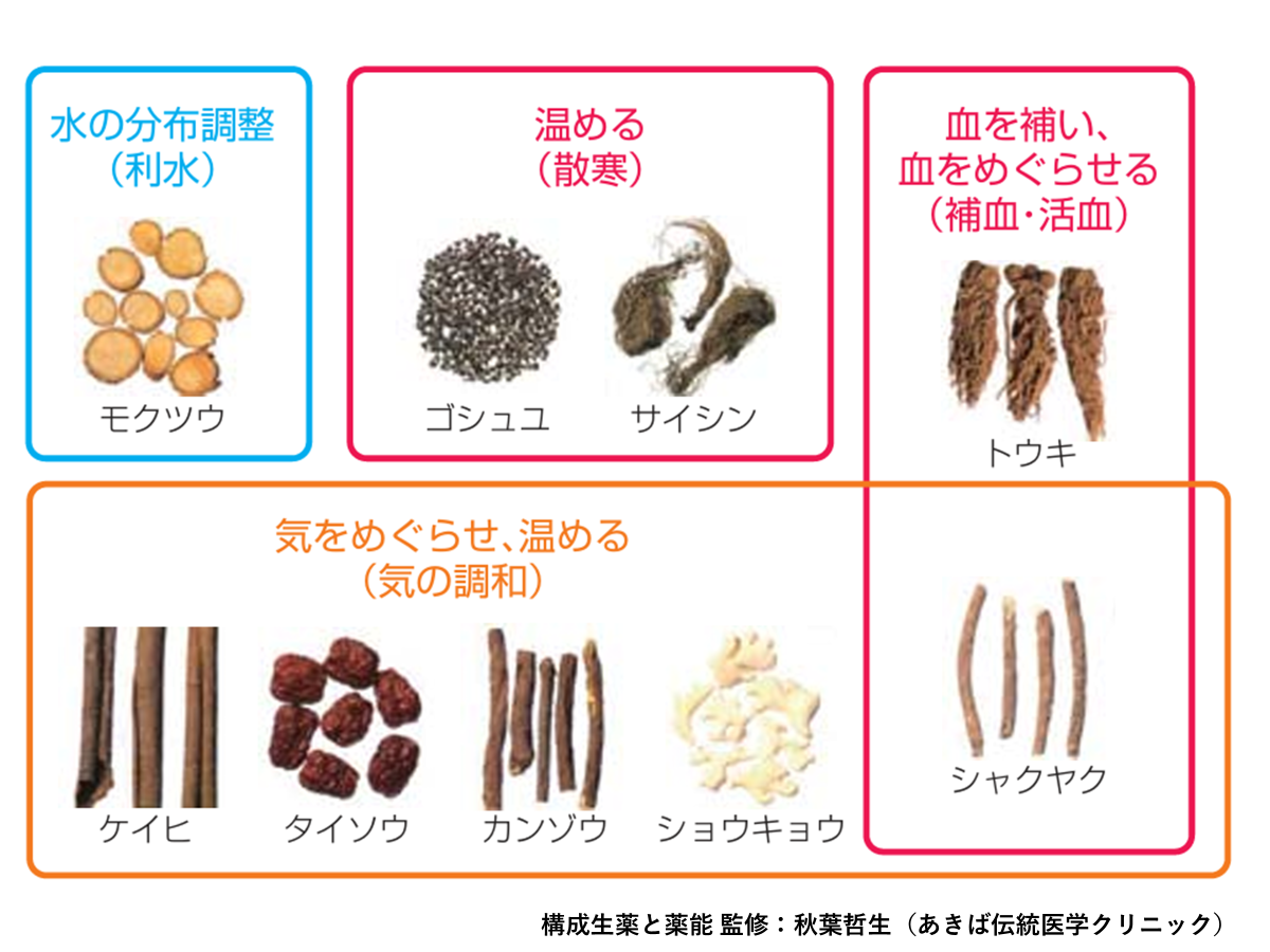 当帰四逆加呉茱萸生姜湯の処方解説 | ツムラ医療関係者向けサイト