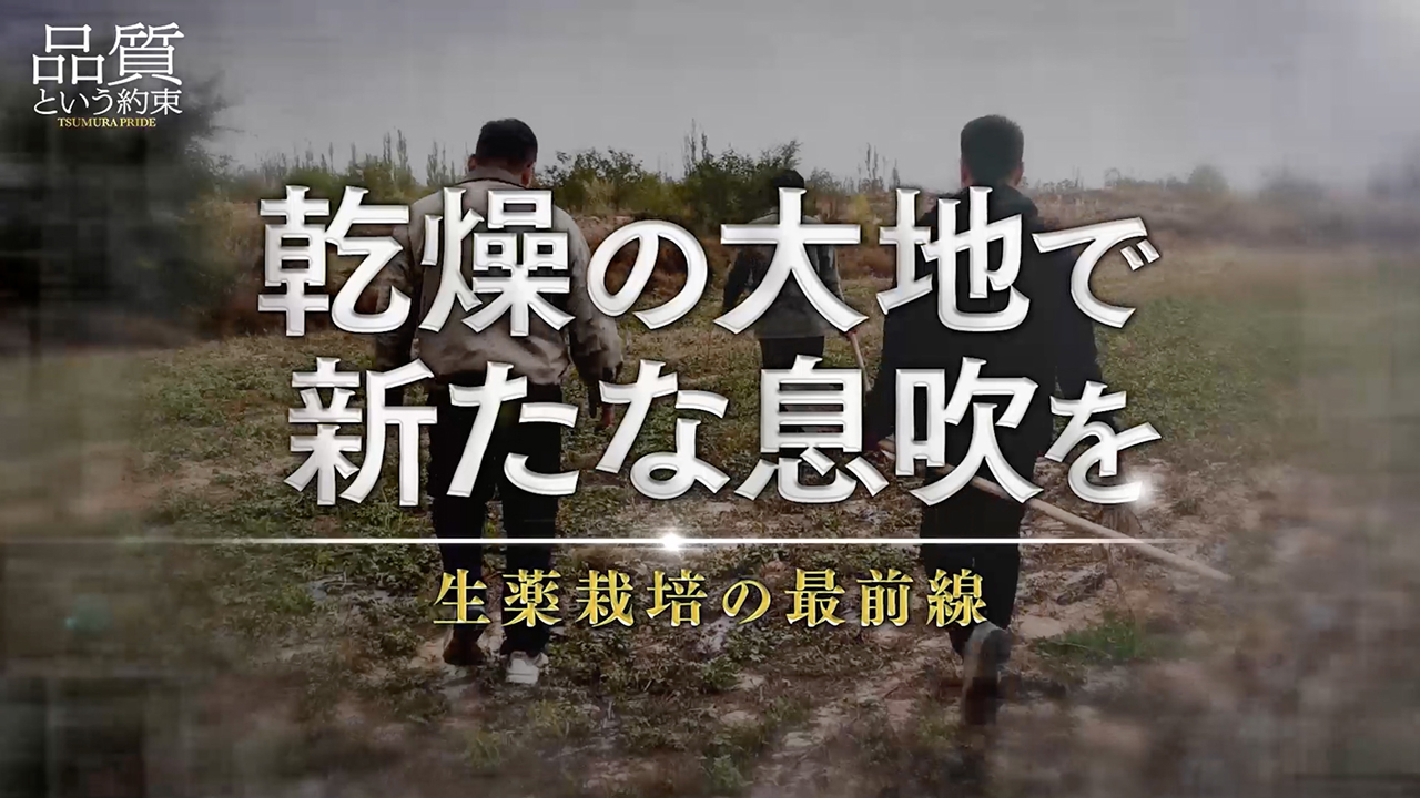 ②乾燥の大地で新たな息吹を ～生薬栽培の最前線～