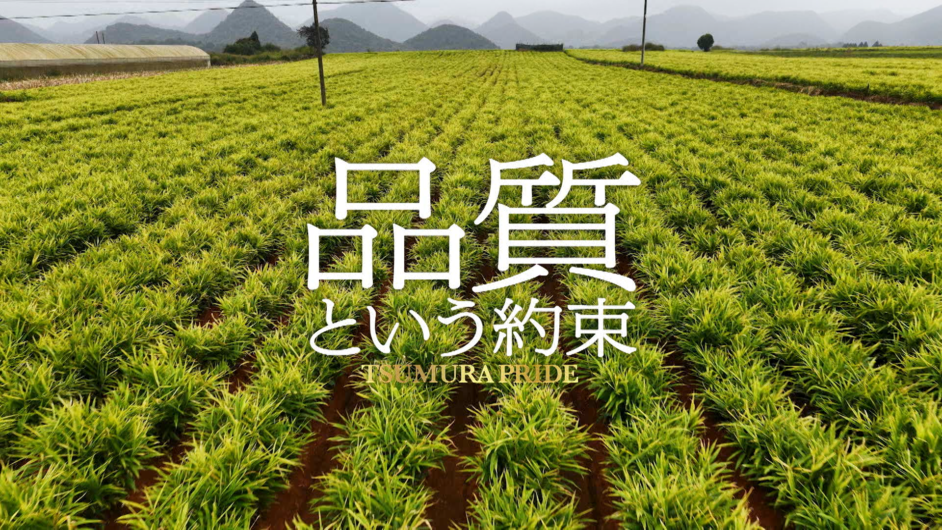 「品質という約束」 ～60秒ダイジェスト～
