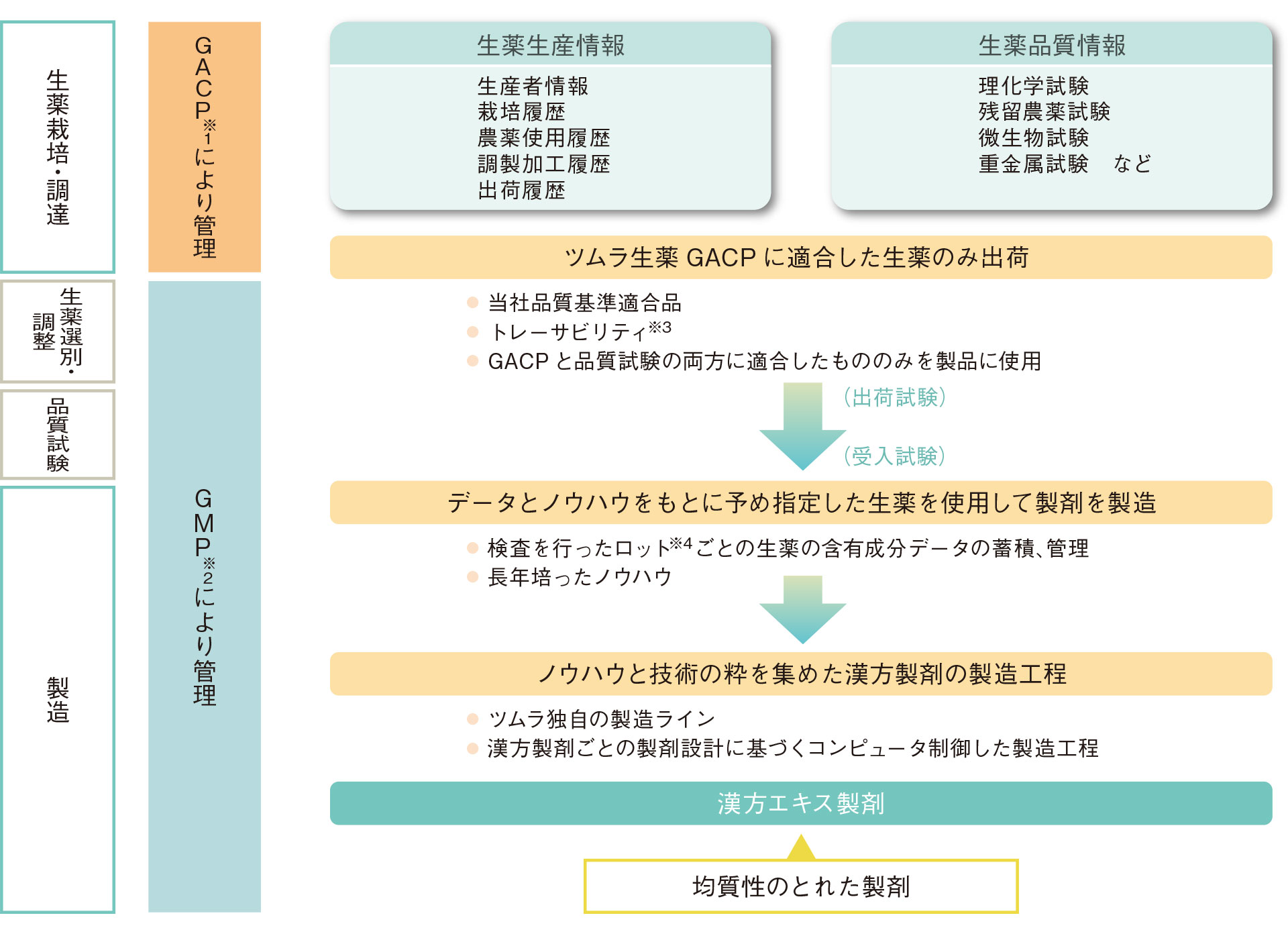 Vol.5 医療用漢方エキス製剤の製造 | ツムラ医療関係者向け