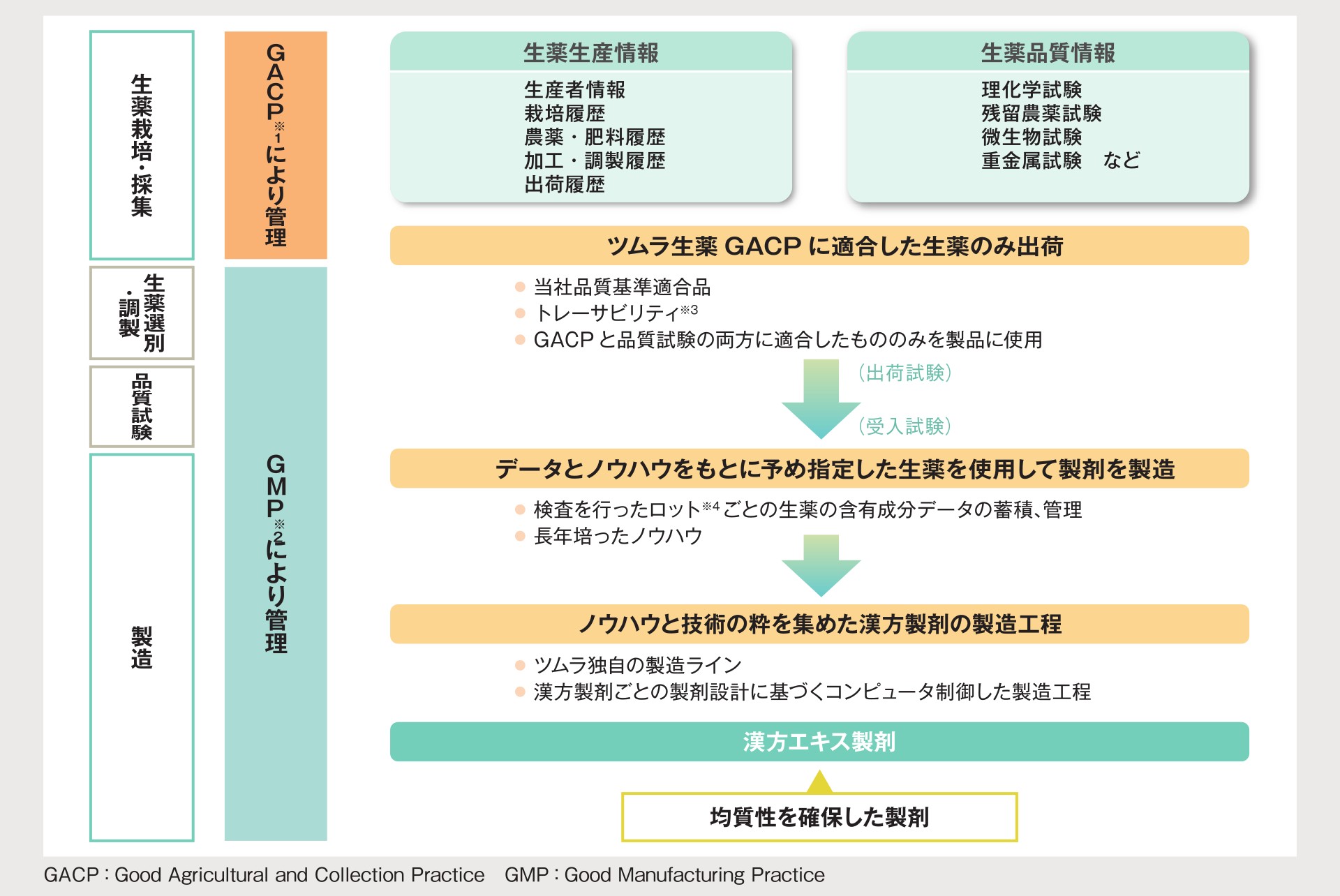 Vol.5 医療用漢方エキス製剤の製造 | ツムラ医療関係者向けサイト