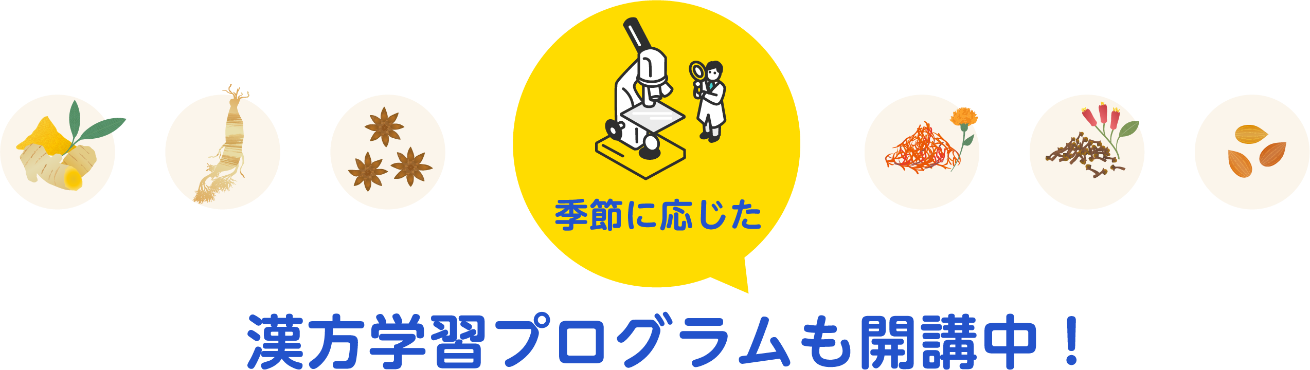 ツムラ漢方オンラインMR面談 | ツムラ医療関係者向けサイト | 株式会社